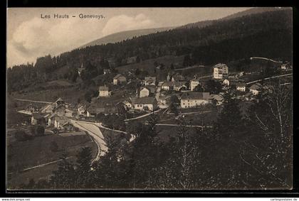 AK Les Hauts-Geneveys, Panorama mit Strassenpartie