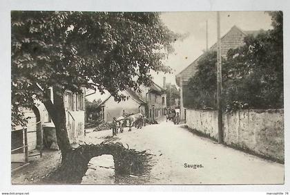 SAUGES CANTON NEUCHATEL + ATTELAGE