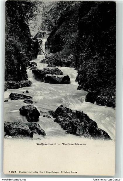 39371485 - Wolfenschiessen