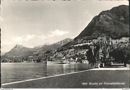 Buochs Uferpromenade Vierwaldstaettersee Dampfer Alpen