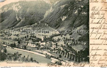 Wolfenschiessen Panorama
