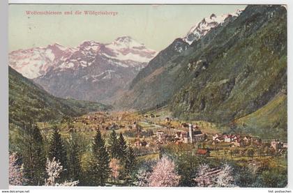 (48512) AK Wolfenschiessen, Panorama, Wildgeissberge 1912