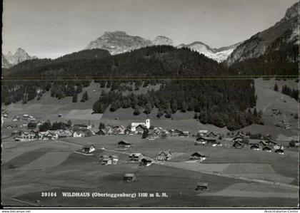 50461024 - Stein SG