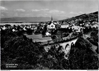 50746825 - Goldach