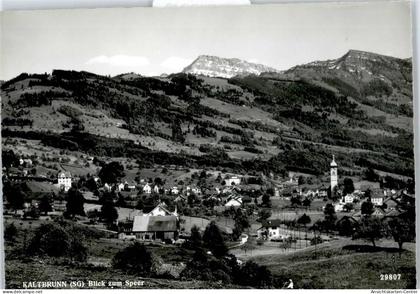 50746940 - Kaltbrunn