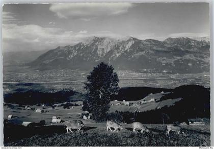 9475 Sevelen - Sevelerberg, Rheintal, Drei Schwestern, Kuh - 50564730