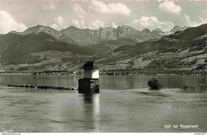Rapperswil -Jona Rapperswyl Zuerichsee SG Panorama