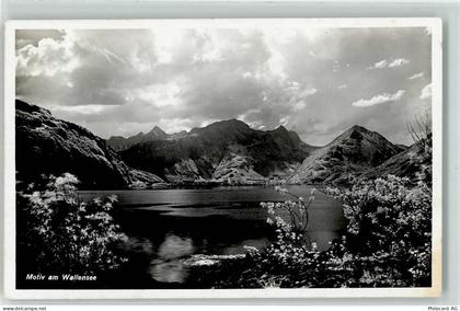 Walensee Wallensee - 10588806