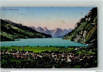 8880 Walenstadt - Panoramaansicht - 10161809