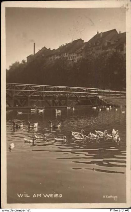 9500 Wil SG - 50479691