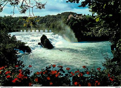 Carte Postale - Suisse - SH Schaffhouse - Rheinfall - Chutes du Rhin - Rheinfall bei Neuhausen - CPM - Carte Neuve - Voi