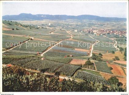 Hallau Randen