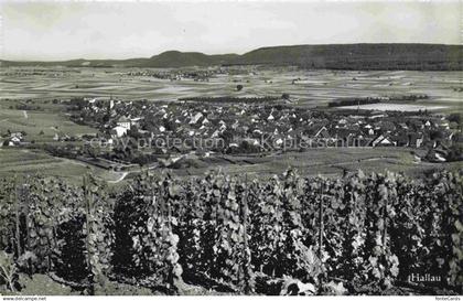 Hallau SH Panorama