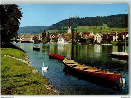 8260 Stein am Rhein - Rhein Schwan - 10281096