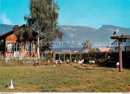 Altreu Selzach Schweizer Vogelwarte Sempach