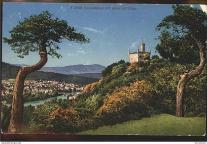 Olten Saelischloesschen Blick auf Olten