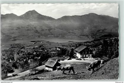 6422 Steinen - Cafe Spiegelberg - 10604455