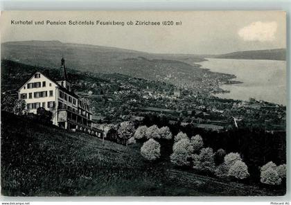 8835 Feusisberg 1915 - Kurhotel Pension Schönfels Zürichberg - 13123270