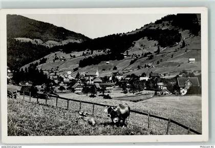 8858 Innerthal Wägital - 10312680