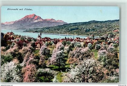 6403 Küssnacht am Rigi - Blühende Bäume Pilatus - 10597687