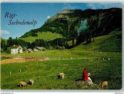 6403 Küssnacht am Rigi - Rigi Seebodenalp - 39492394