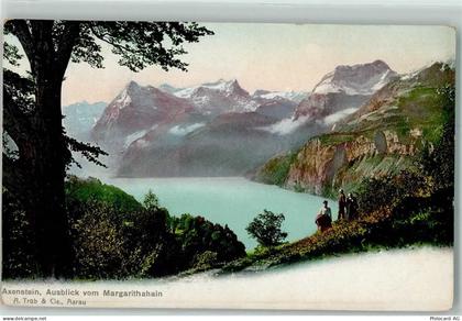 6443 Morschach - Axenstein - 10585489