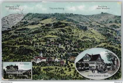6416 Steinerberg Künstlerkarte Gasthaus Pension zum Rössli , Villa Aufde... - 50714442