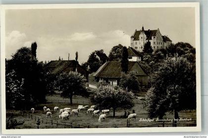 38025199 - Stettfurt