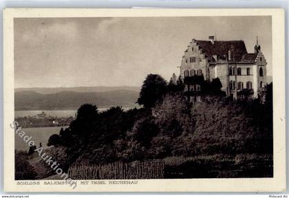 8268 Mannenbach-Salenstein - Schloss Salenstein, Insel Reichenau - 51280135