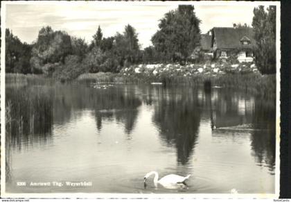 Amriswil TG Amriswil Huesli x 1945