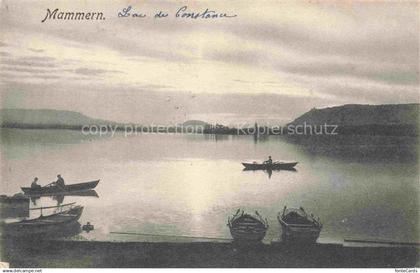 Mammern Untersee Steckborn TG Lac de Constance