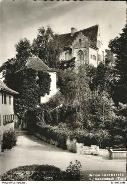 Salenstein Schloss