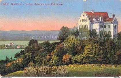 Salenstein TG Schloss Salenstein mit Reichenau und Bodensee