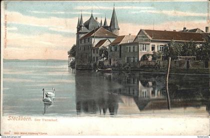 Steckborn Turmhof Schwan