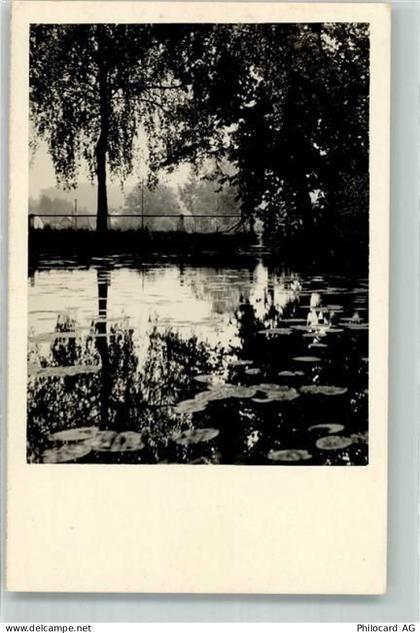 9213 Hauptwil - Ort handschriftlich Seerosen - 39699835