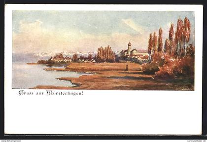 AK Münsterlingen, ferne Ortsansicht mit Umgebung am Wasser