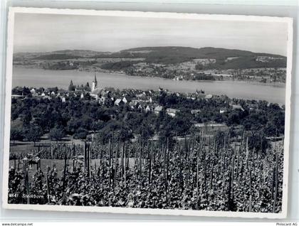 8266 Steckborn - 51714583