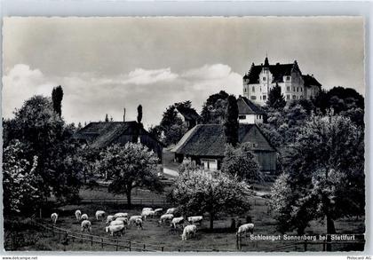 9507 Stettfurt - Schlossgut Sonnenberg - 51486293