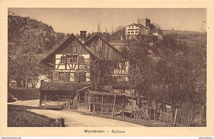 Schweiz - WEINFELDEN (TG) Schloss - Verlag E. Hofmann 3042