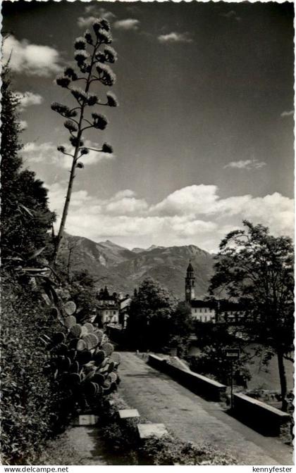 Ascona
