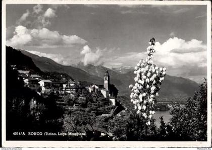 6622 Ronco sopra Ascona - 50470386