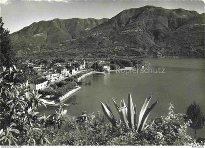 Ascona Lago Maggiore TI Lago-Maggiore Seepromenade Bergpanorama Agave Kirchturm