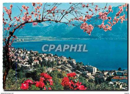 CPM Lac majeur Locarno Vue generale