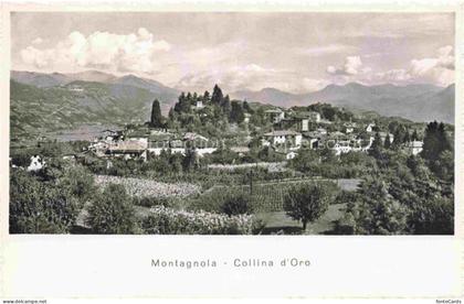 Montagnola LUGANO TI Collina-d Oro Dorf Berge Weinberge Gaerten Panorama Baeume