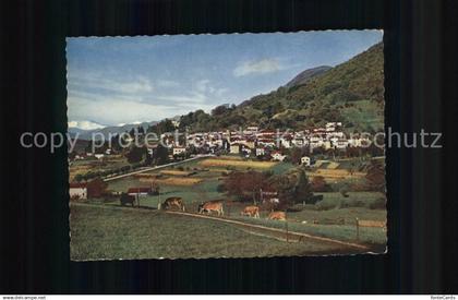 Novaggio Panorama