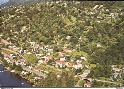 San Nazzaro Nazzaro  x 1984