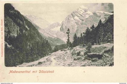 Maderanertal Maderanerthal Silenen UR mit Duessistock