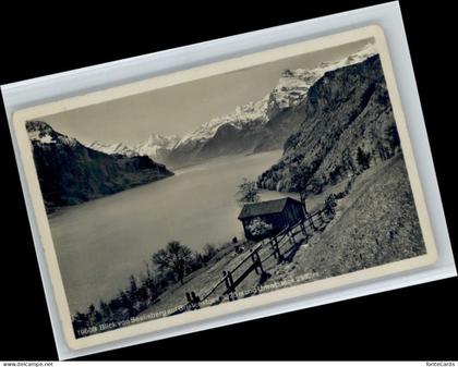 Seelisberg UR Seelisberg Bristenstock