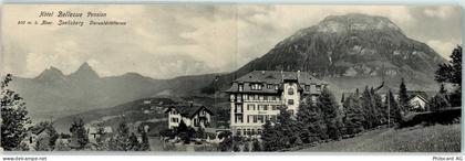 6377 Seelisberg - Hotel Bellevue - 13802055