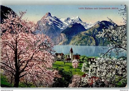 6452 Sisikon - 10205130